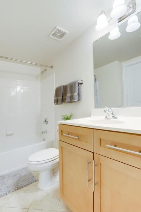Condo With Gym And Pool In Pentagon City 8Min To Dca Arlington Extérieur photo